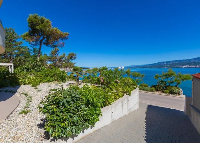 Dakovic Deni * Сило