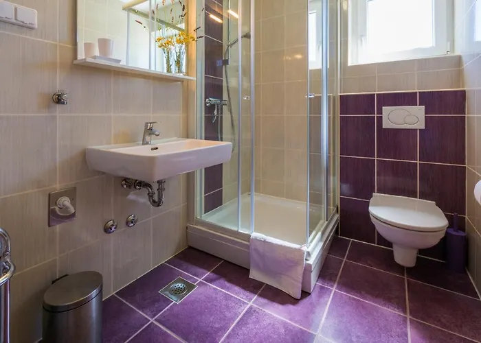 Dakovic Deni Сило